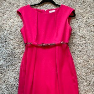 Calvin Klein Hot Pink Jersey Dress